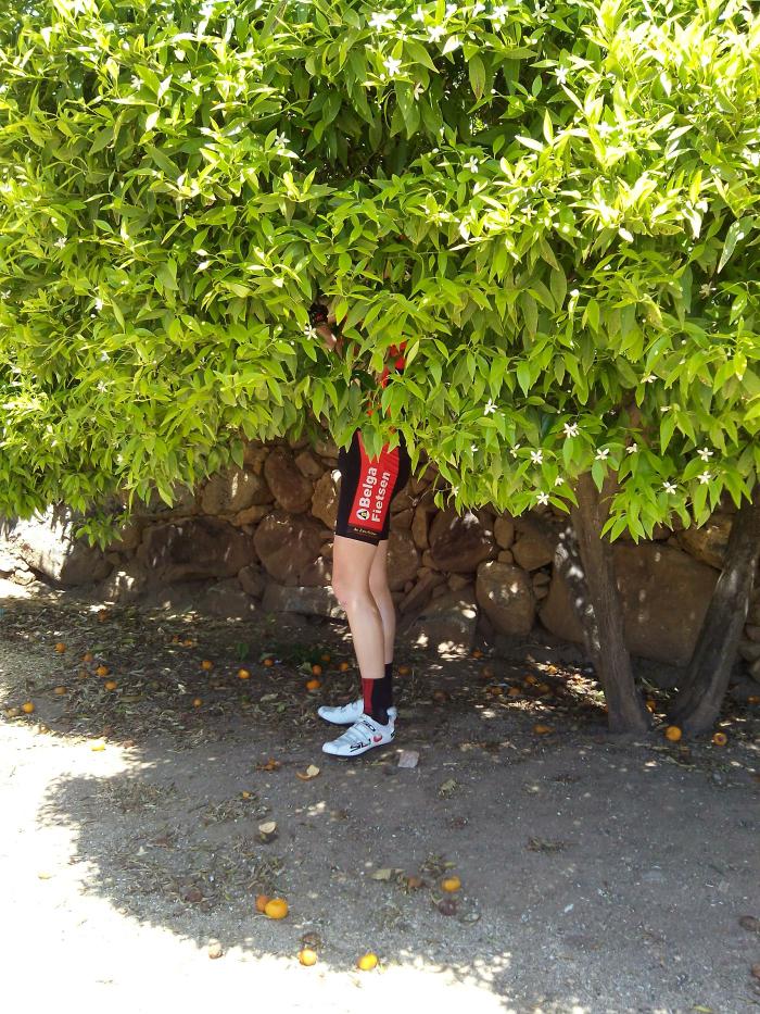 Spanjereis_2015-3.jpg