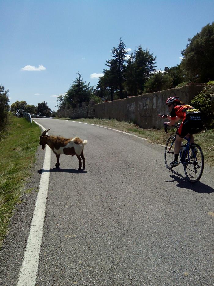 Spanjereis_2015-4.jpg
